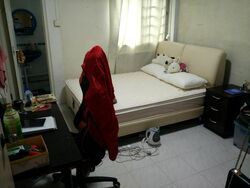 Blk 433 Clementi Avenue 3 (Clementi), HDB 4 Rooms #515221991